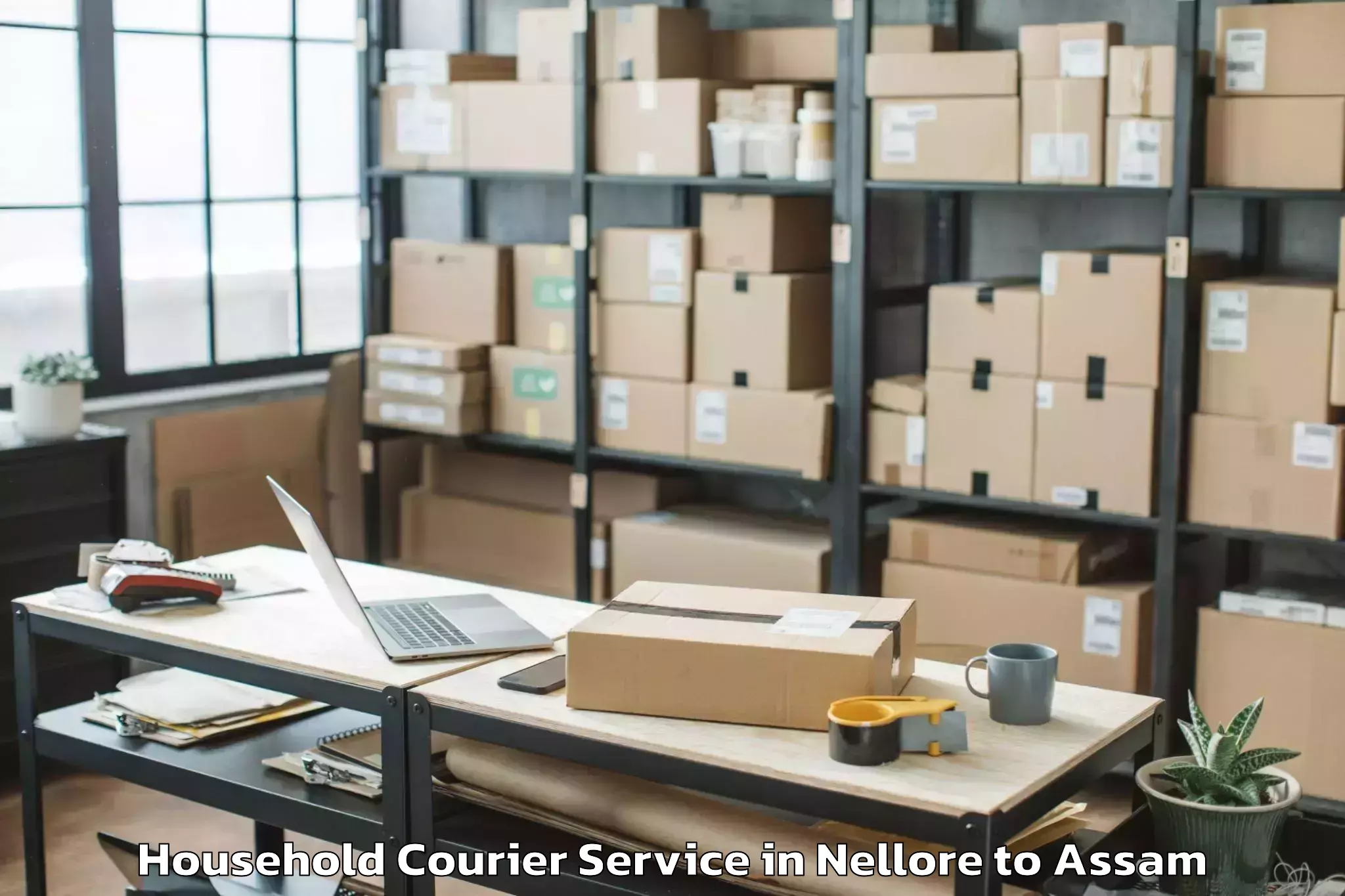 Top Nellore to Chapar Household Courier Available